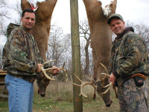 2004deer006.jpg