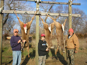 2004deer014.jpg