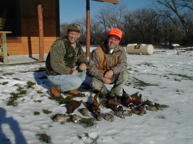 2000pheasantsquail.jpg