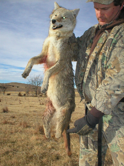 2002coyotehunt03.jpg