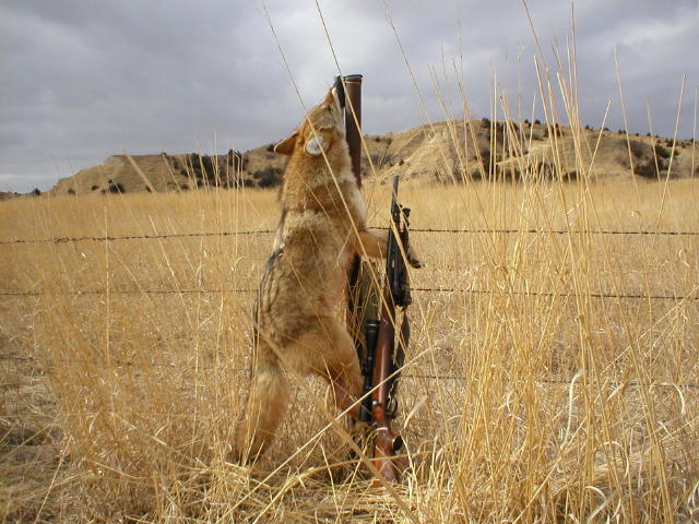 2003callawayhunt001.jpg