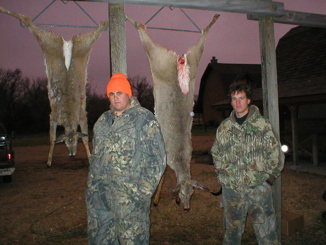 deer200313.jpg