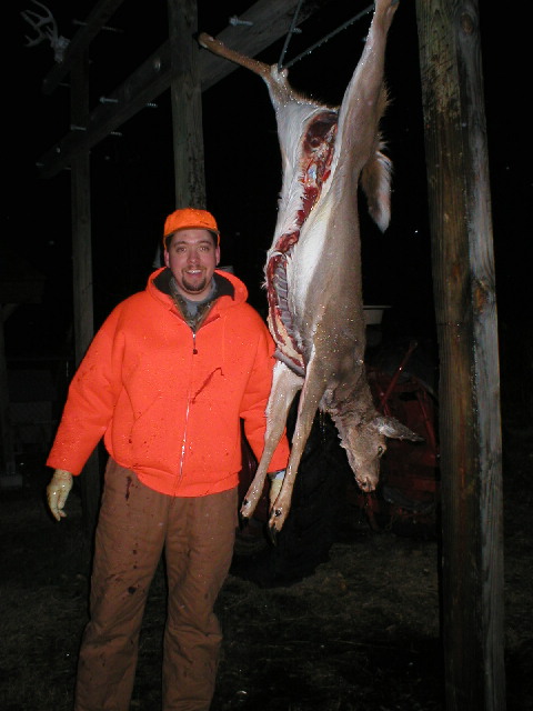 deer200314.jpg